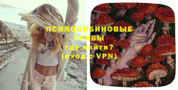 хмурый Балабаново
