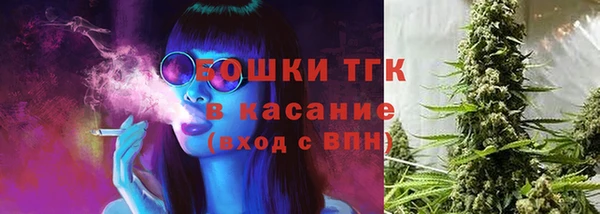 стафф Армянск